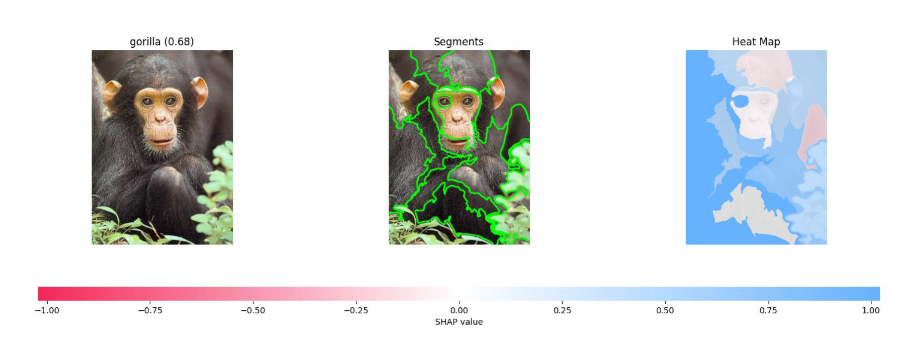 results of classification for image of a chimp